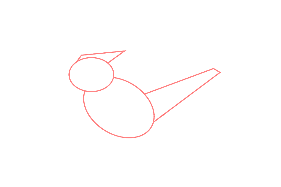 如何画红衣主教鸟-图1