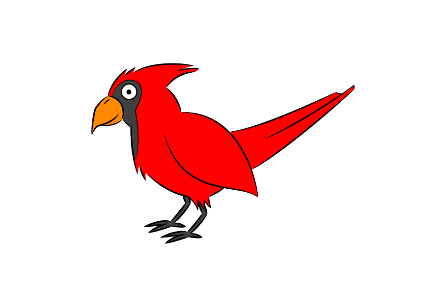 如何画红衣主教鸟