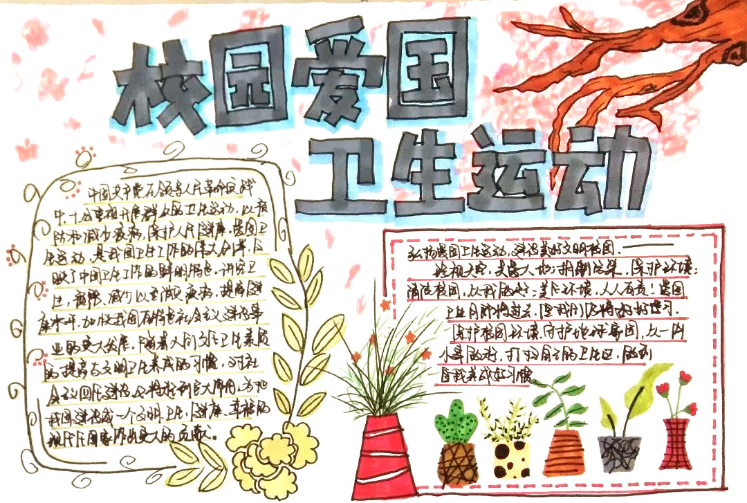 关于爱国卫生运动的手抄报-图6