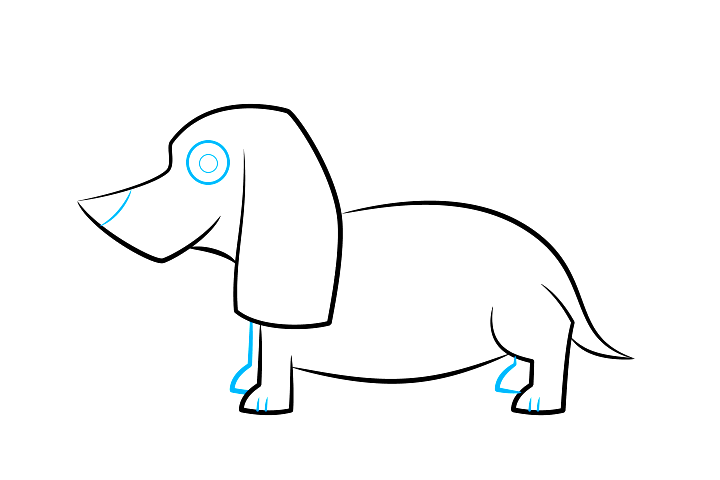 小狗简笔画 腊肠犬怎么画-图3