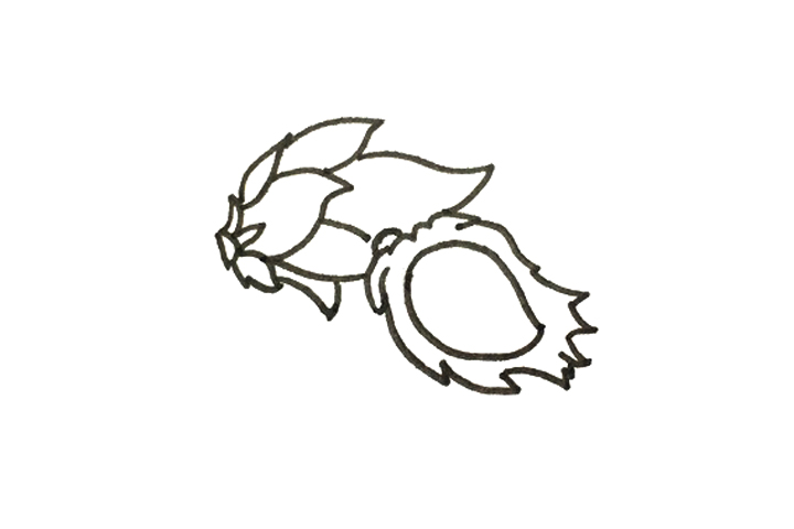 怎么画火龙果-图2