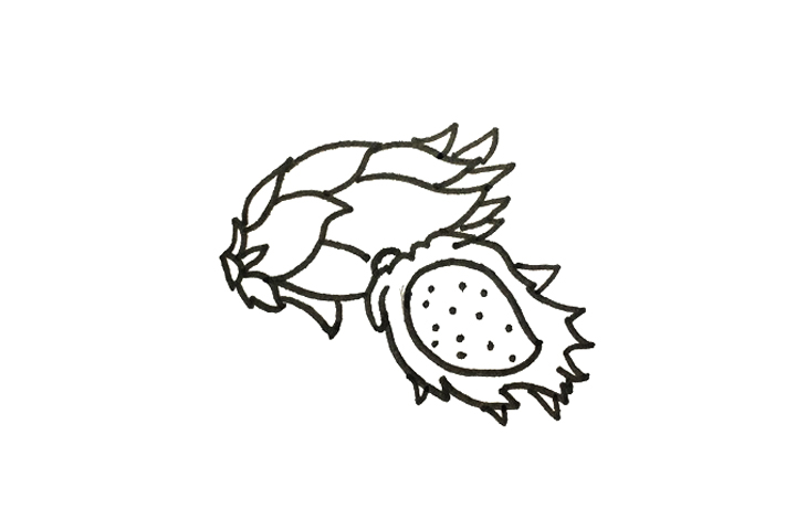 怎么画火龙果-图3