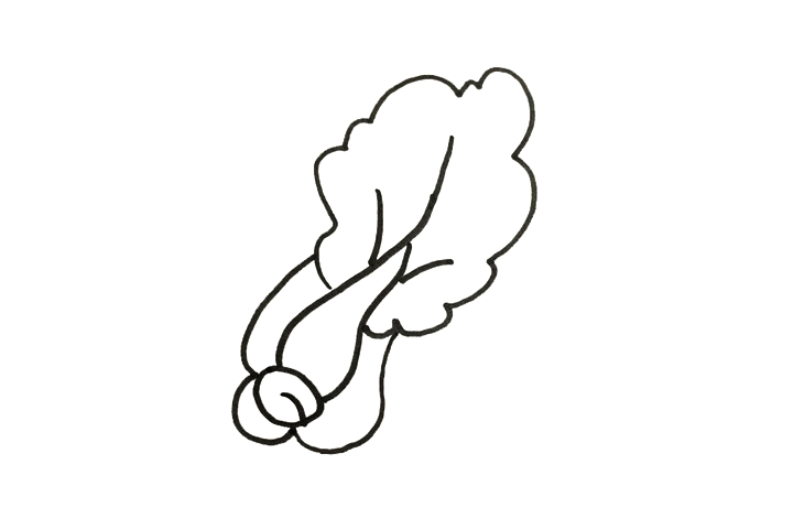 怎么画青菜-图2