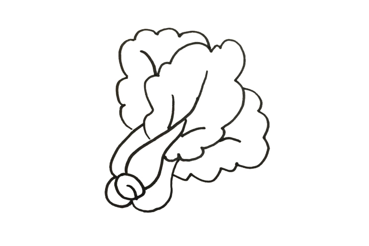 怎么画青菜-图3