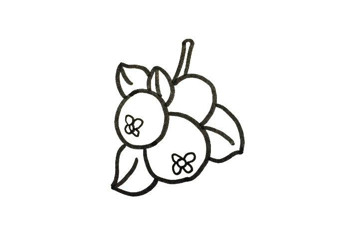 枇杷怎么画-图3