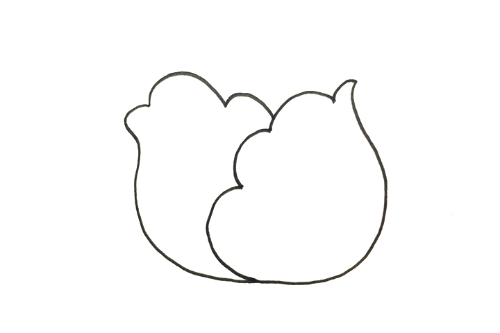 怎么画卷心菜-图2