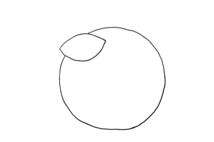 橙子怎么画-图2