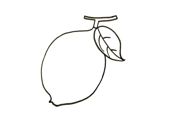 柠檬怎么画-图3