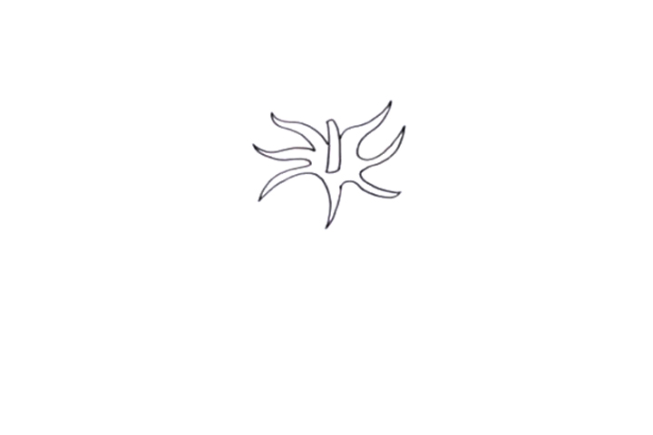 西红柿怎么画-图1