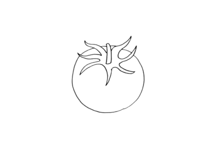 西红柿怎么画-图2