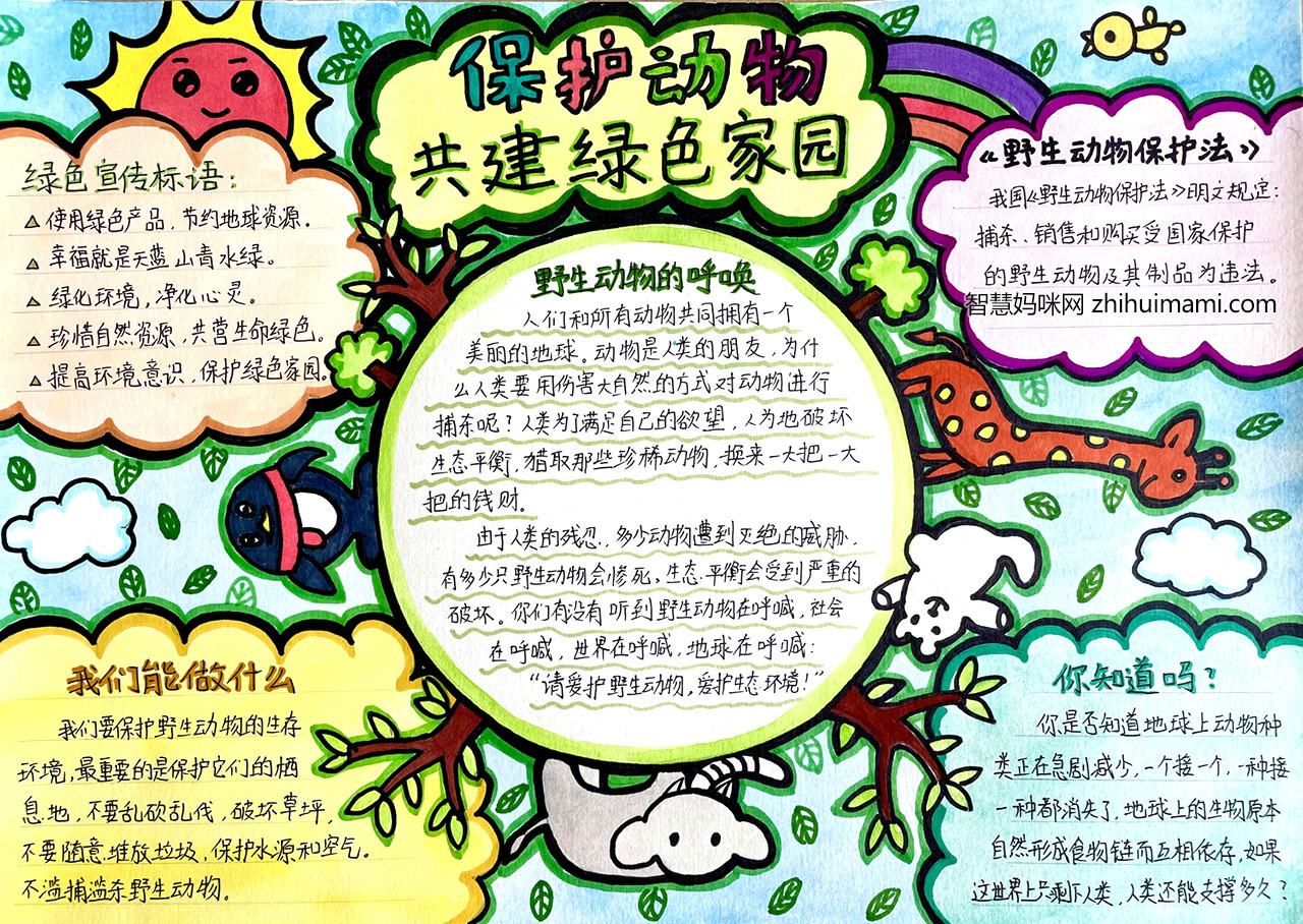 关于保护野生动物的手抄报图片-图1