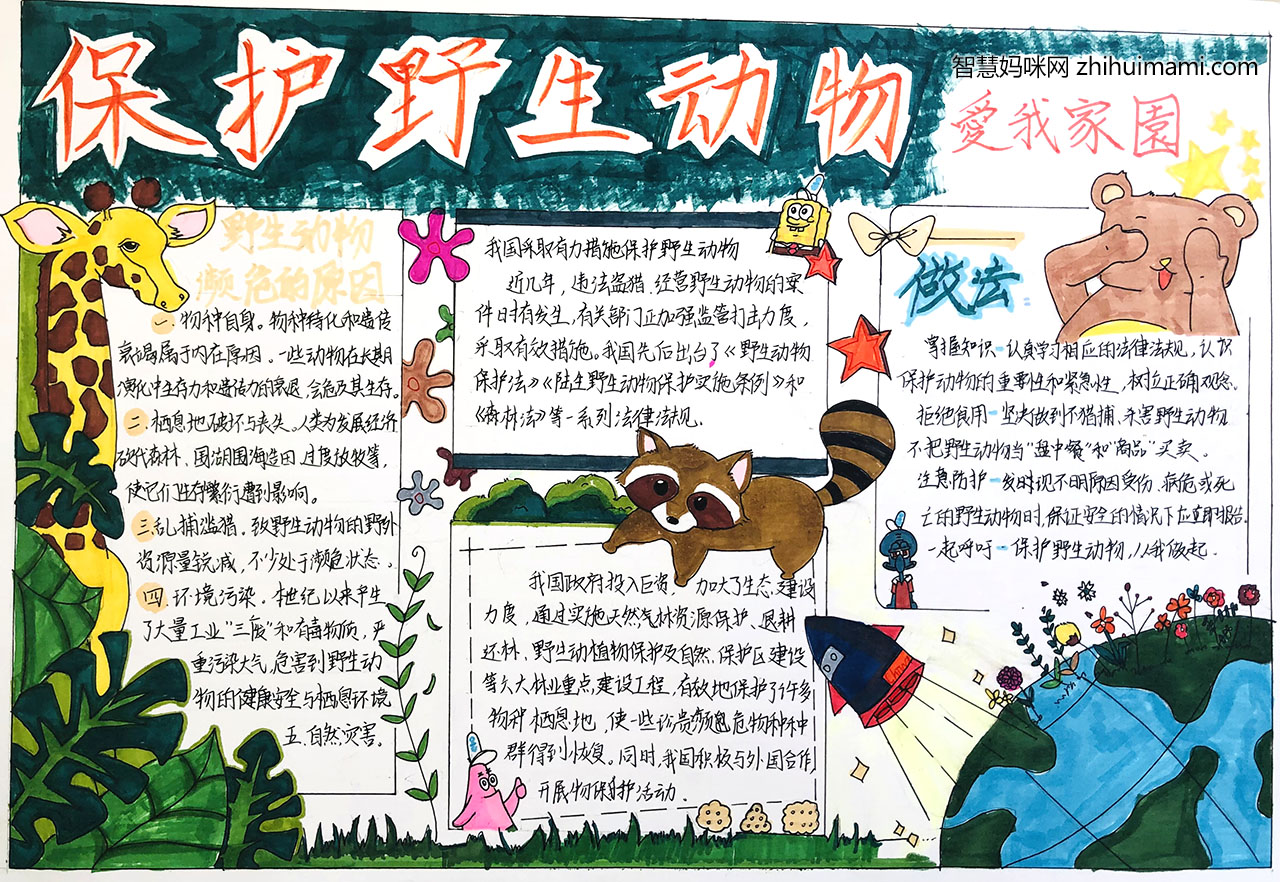 关于保护野生动物的手抄报图片-图4
