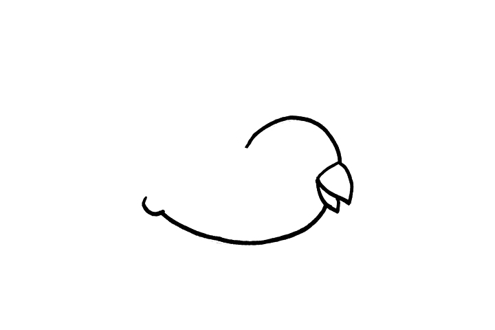 简单小鸟简笔画画法-图1