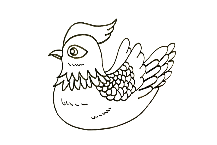 鸳鸯怎么画-图3