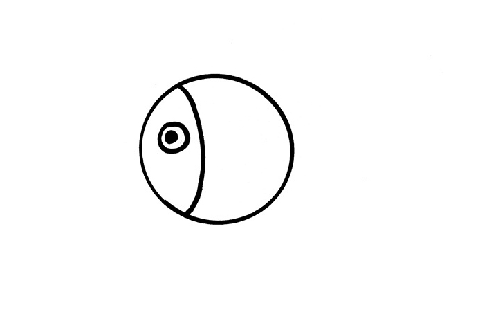 灯笼鱼怎么画-图1