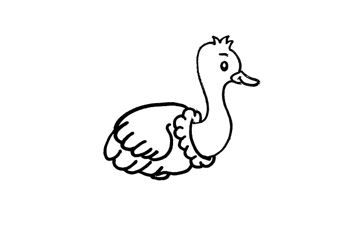 鸵鸟怎么画-图2