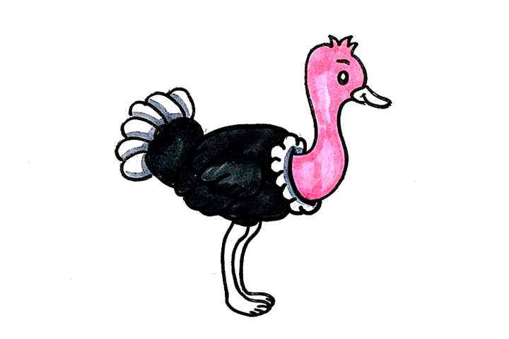 鸵鸟怎么画-图4