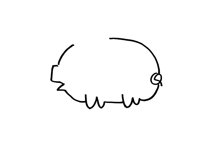 简单的小猪怎么画-图2