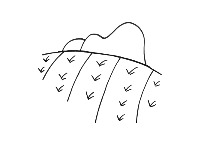 稻田怎么画-图2