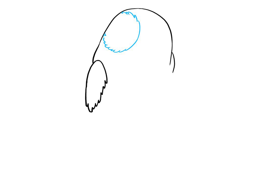 星球大战波格鸟怎么画-图3