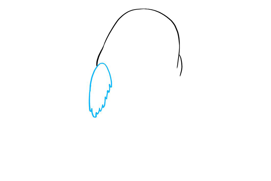 星球大战波格鸟怎么画-图2