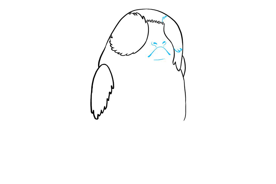 星球大战波格鸟怎么画-图5