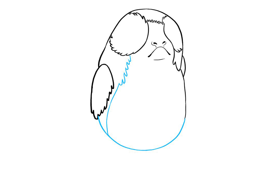 星球大战波格鸟怎么画-图6