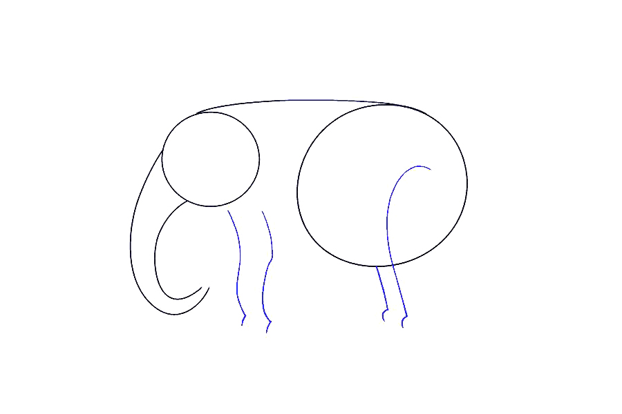 如何画大象-图5