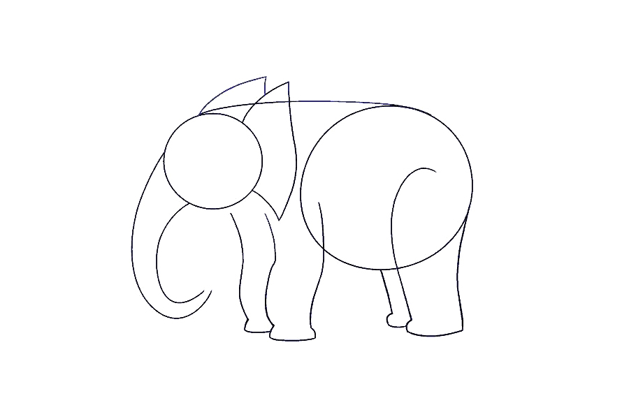 如何画大象-图8