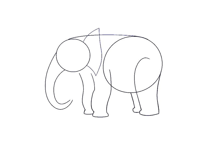 如何画大象-图7