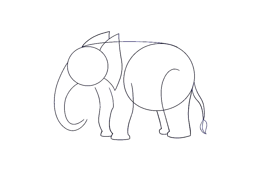 如何画大象-图10