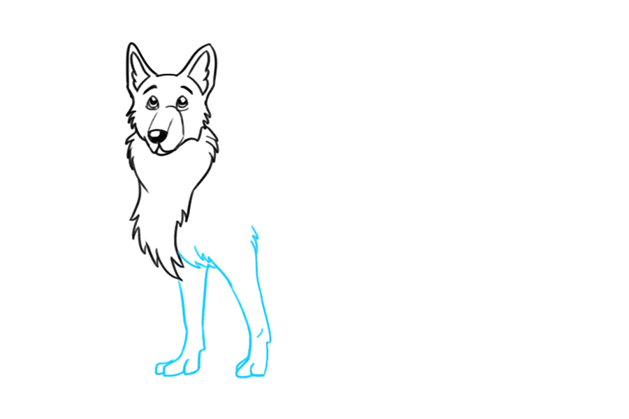 如何画德国牧羊犬-图6