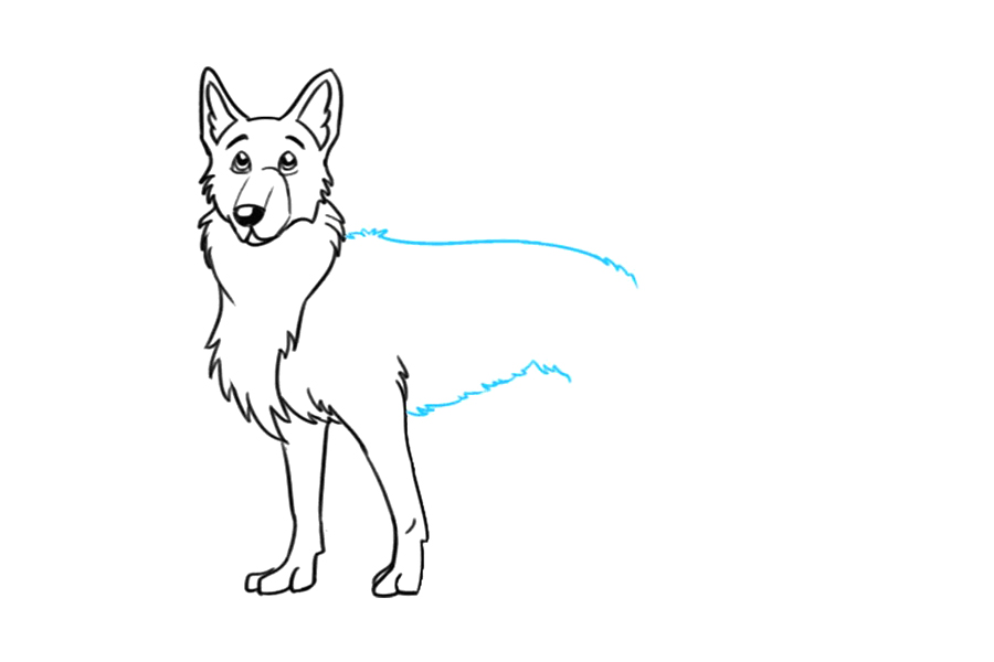 如何画德国牧羊犬-图7