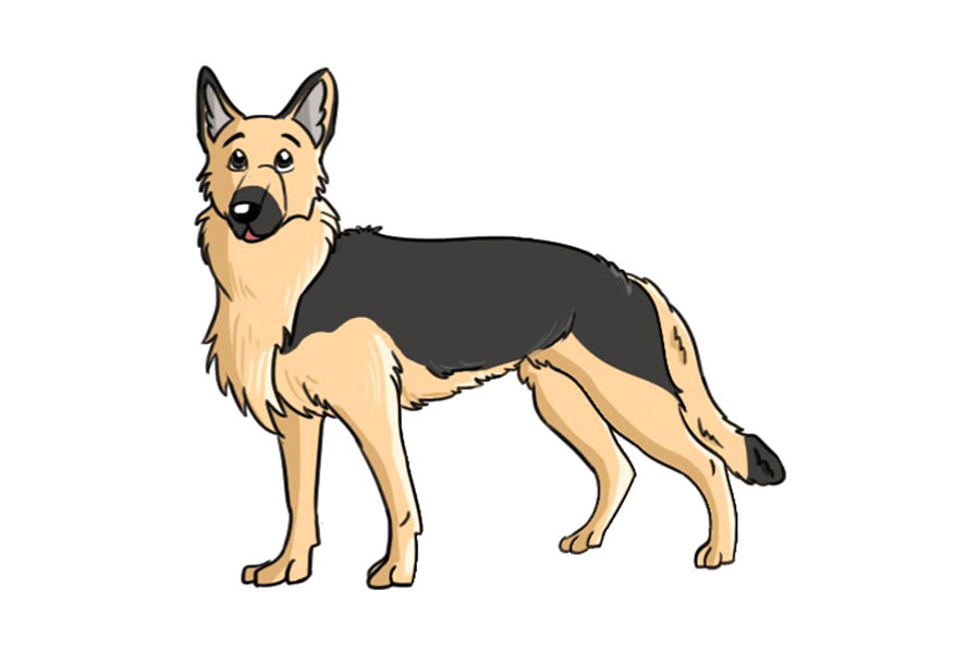 如何画德国牧羊犬