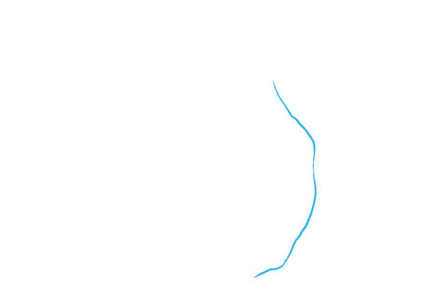 卡通森林简笔画的画法-图1