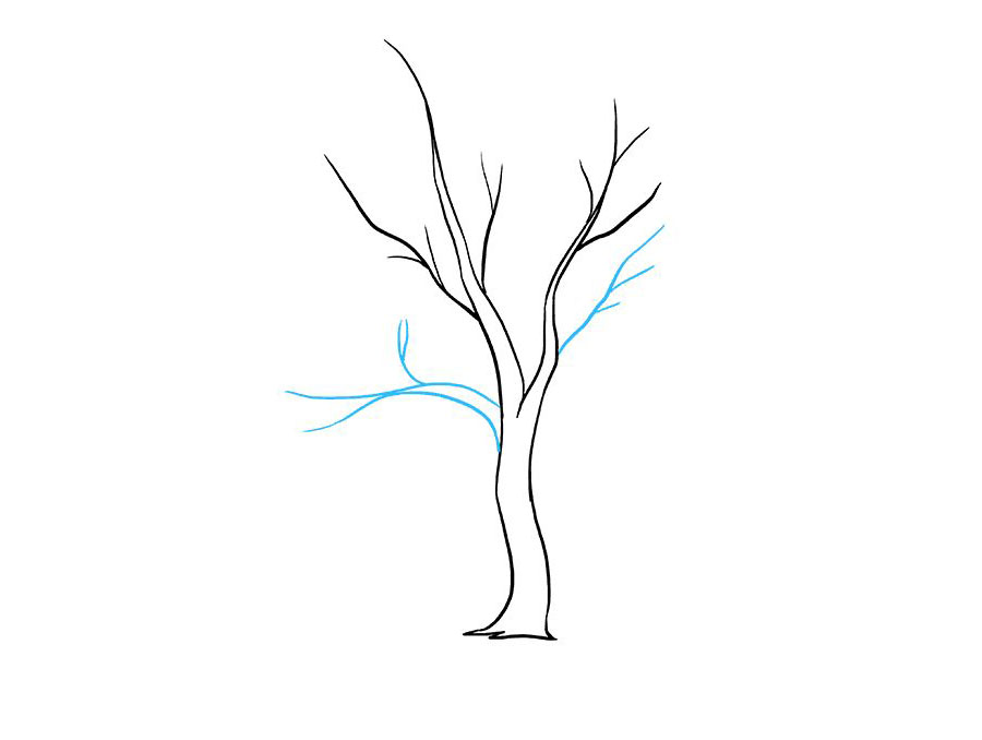 如何画秋天枫树落叶-图4