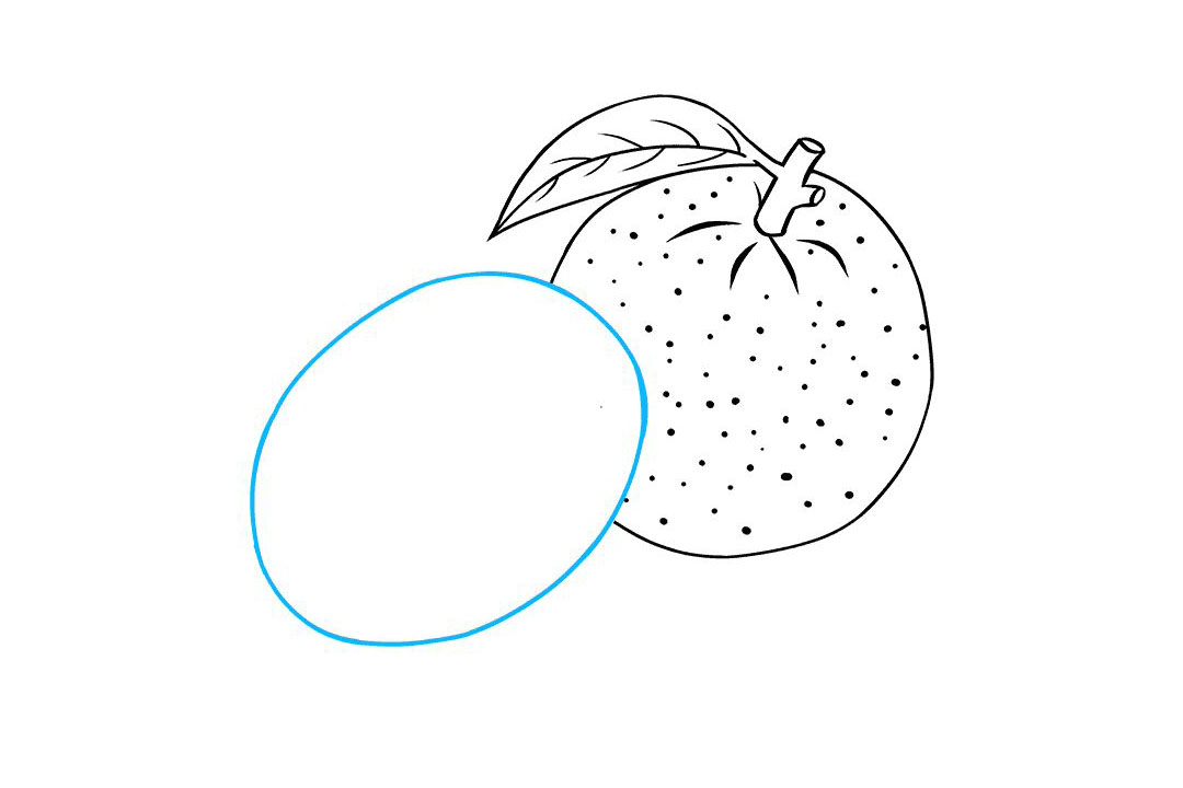 桔子怎么画-图5