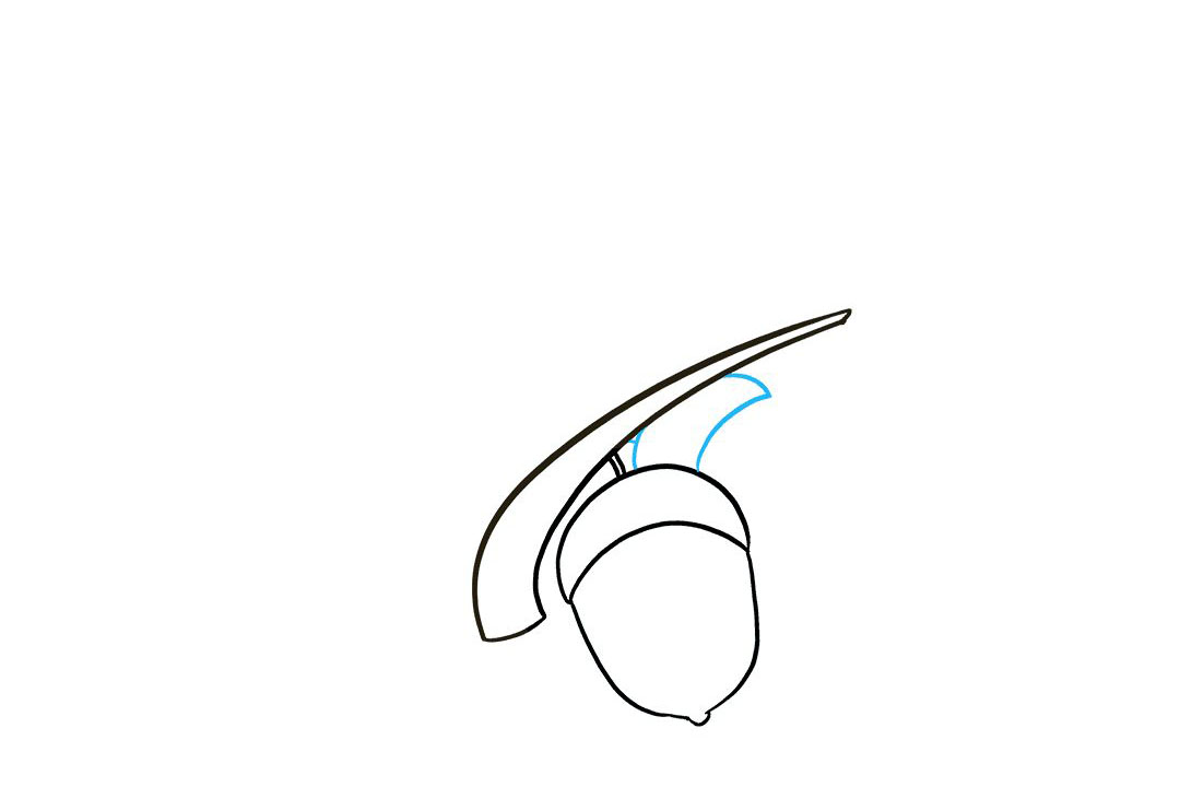 如何画橡子简笔画-图5