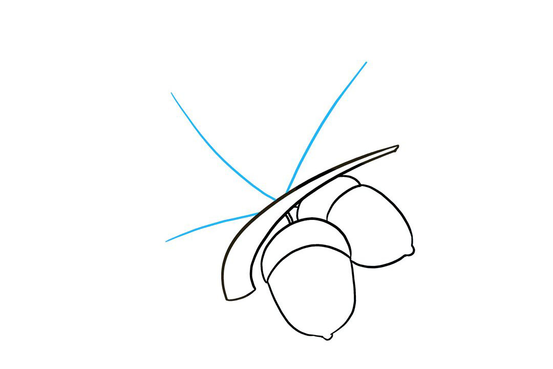 如何画橡子简笔画-图7