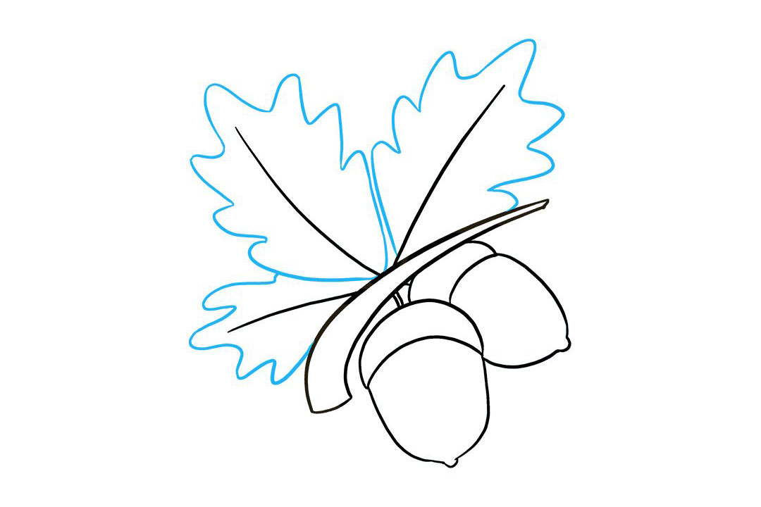 如何画橡子简笔画-图8