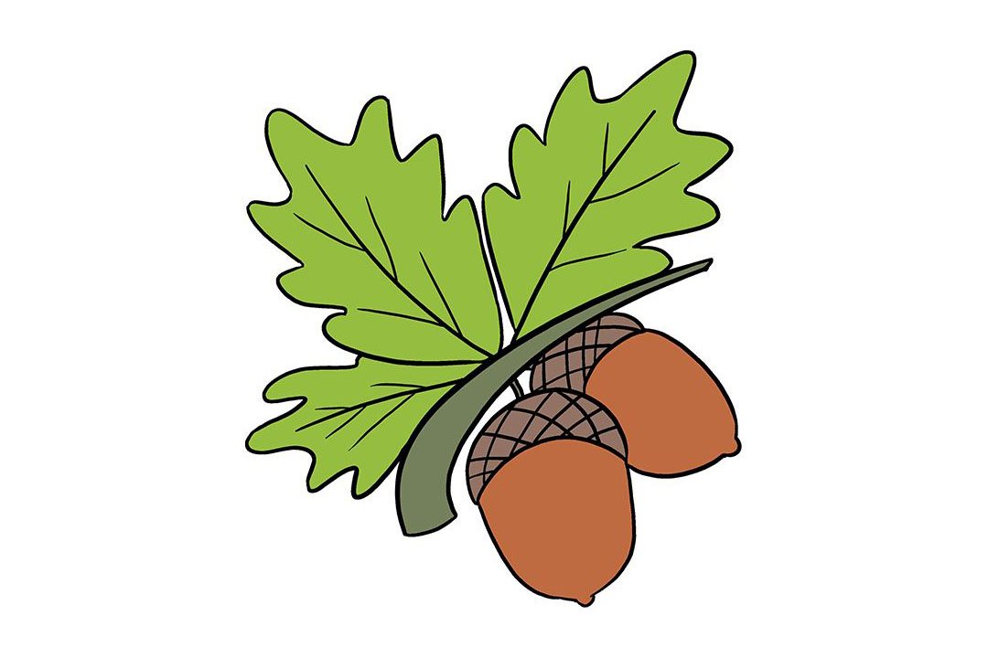如何画橡子简笔画