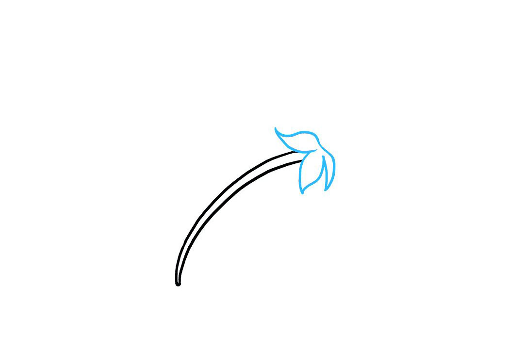 如何画母亲节送妈妈的花-图2