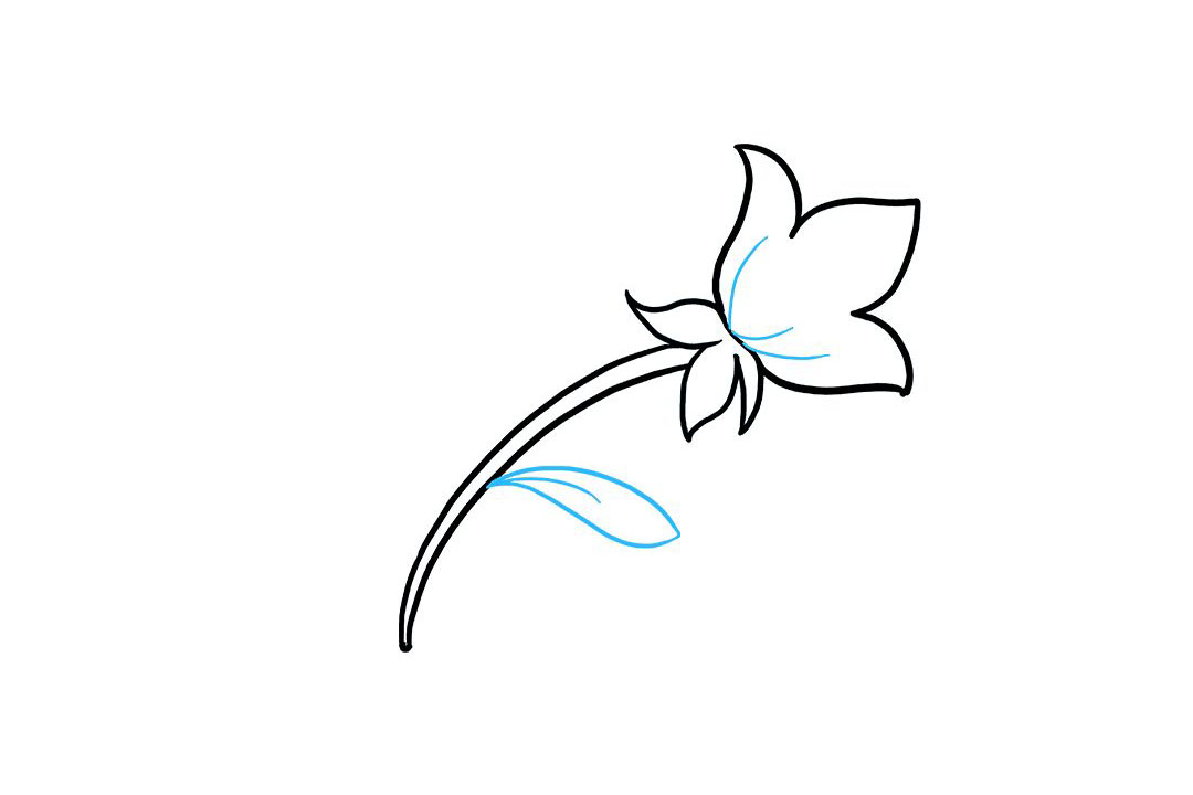 如何画母亲节送妈妈的花-图4