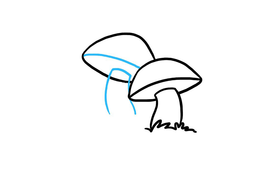 如何画蘑菇-图5