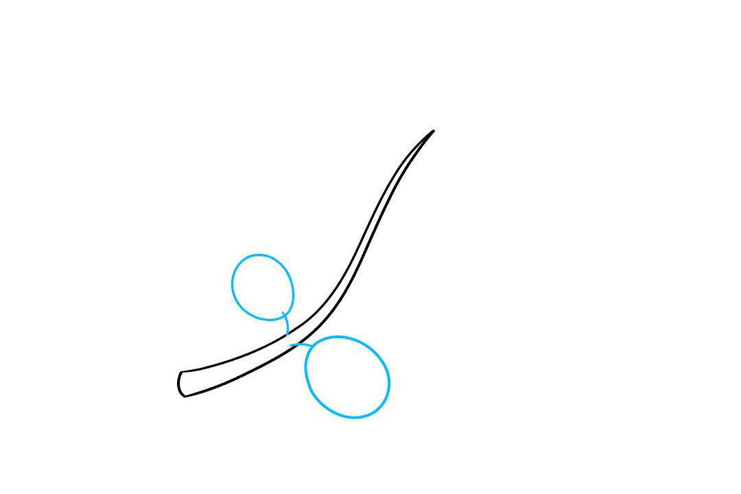 橄榄枝怎么画-图2