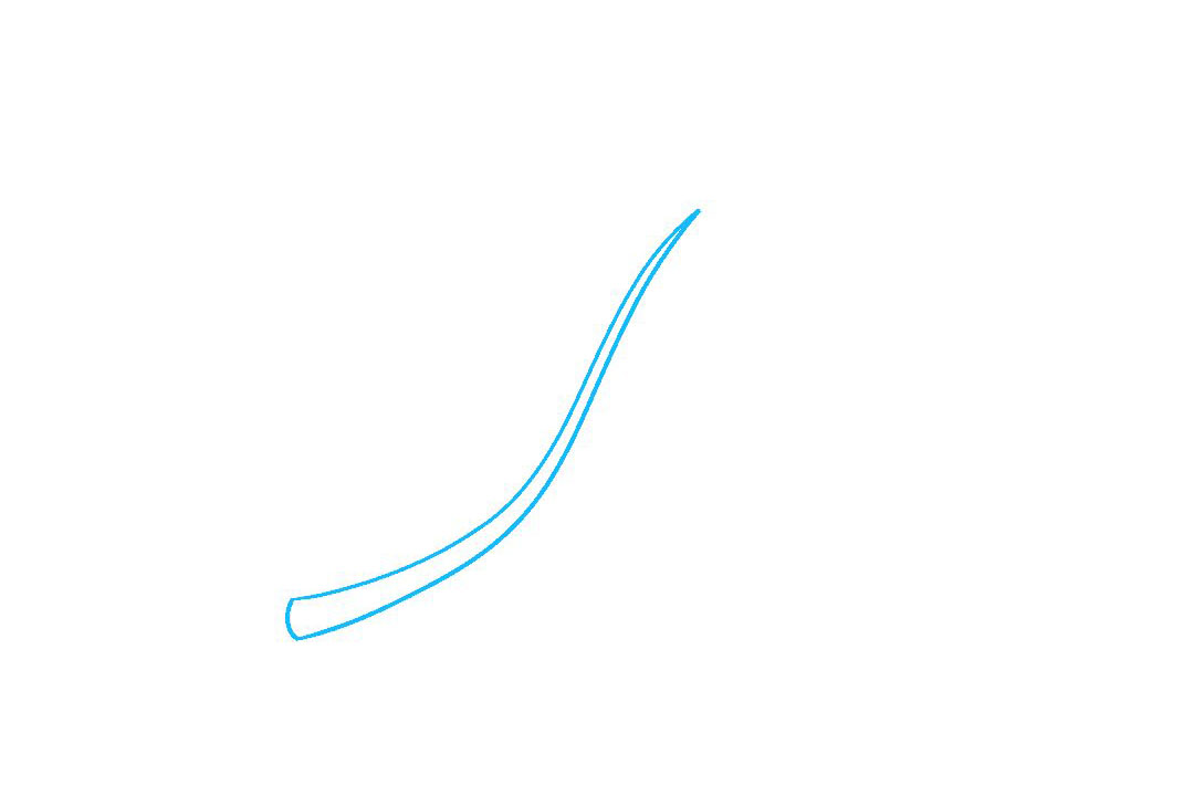 橄榄枝怎么画-图1