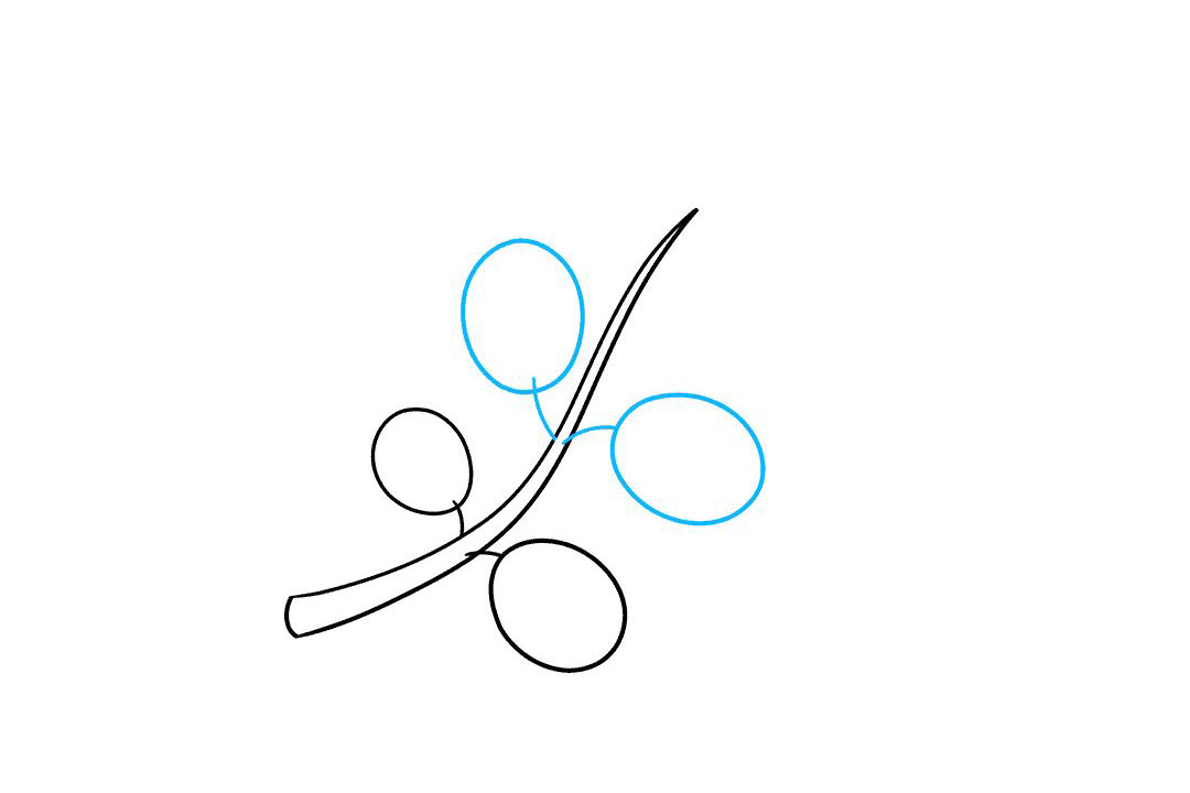 橄榄枝怎么画-图3