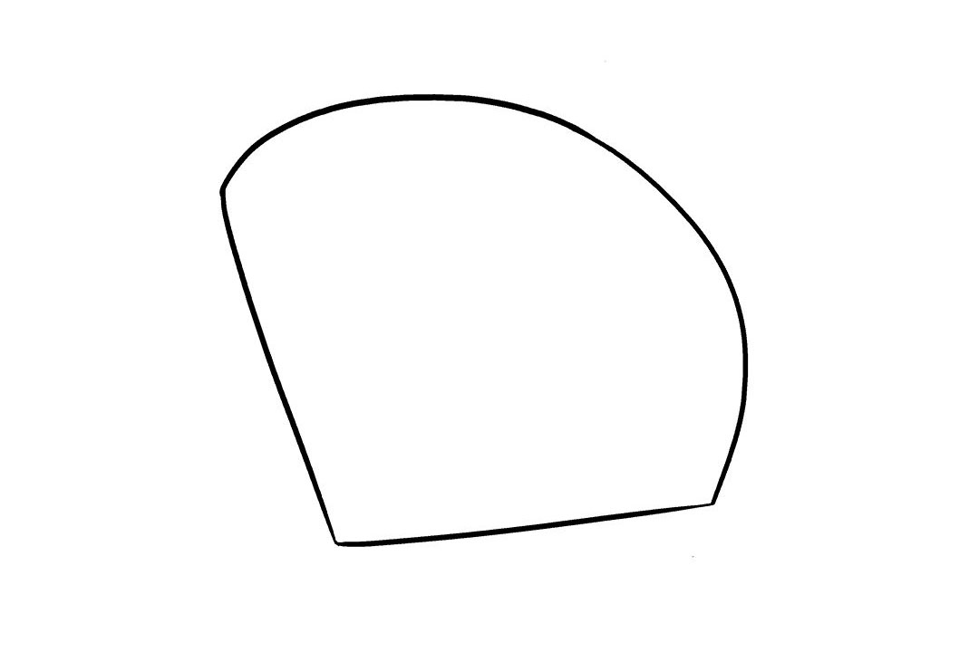 贝壳怎么画-图4