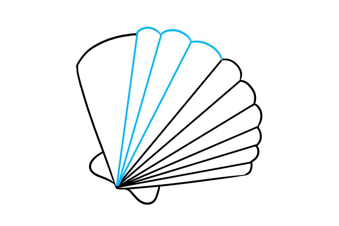 贝壳怎么画-图7