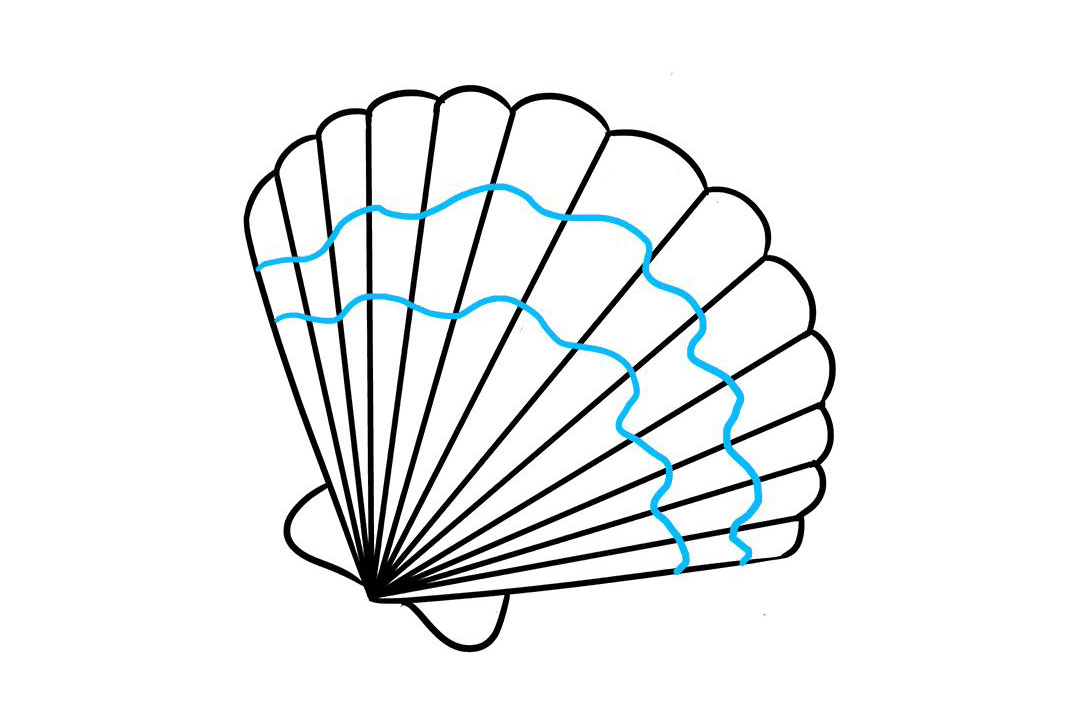 贝壳怎么画-图9